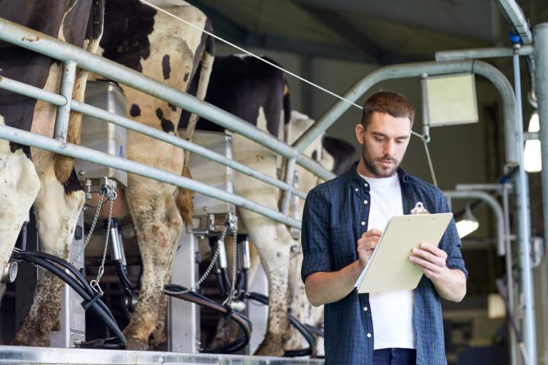 livestock-buyer-salary-how-to-become-job-description-best-schools