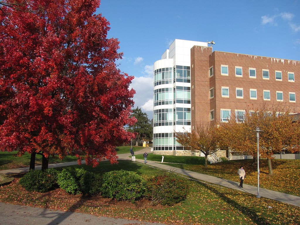 Brandeis University Tuition, Rankings, Majors, Alumni, & Acceptance Rate