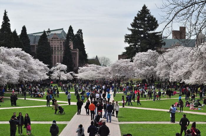 University Of Washington Tuition Rankings Majors Alumni And Acceptance Rate 