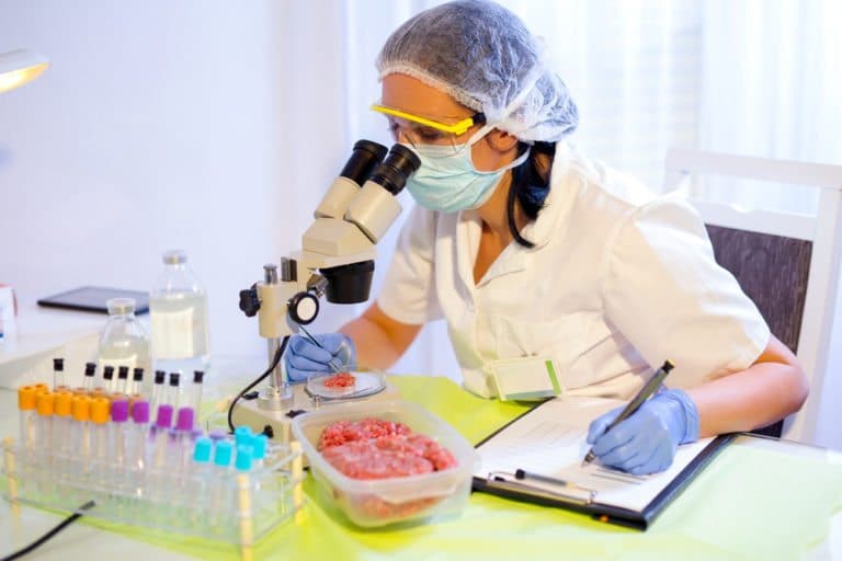 food-science-degree-best-schools-major-programs